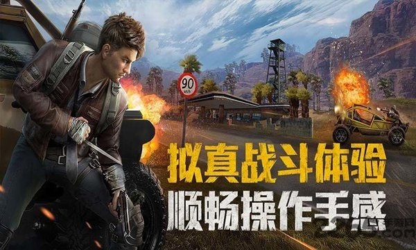 和平精英国际服官网版