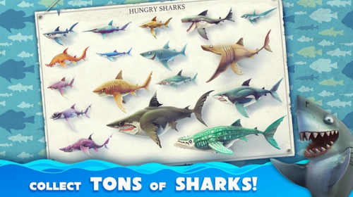 hungrysharkworld国际服