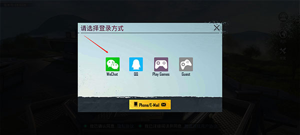 刺激战场国际服登录步骤3