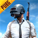 pubg国际服下载