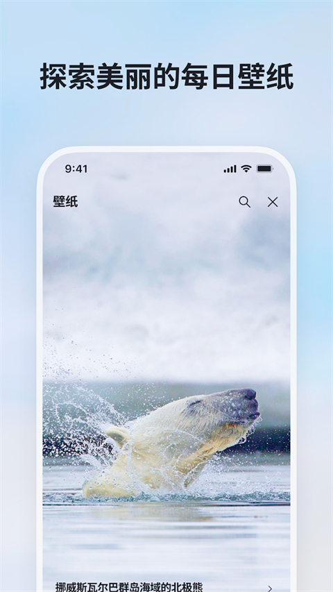 微软必应国际版