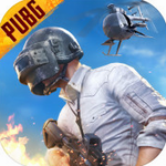 pubg国际服测试服