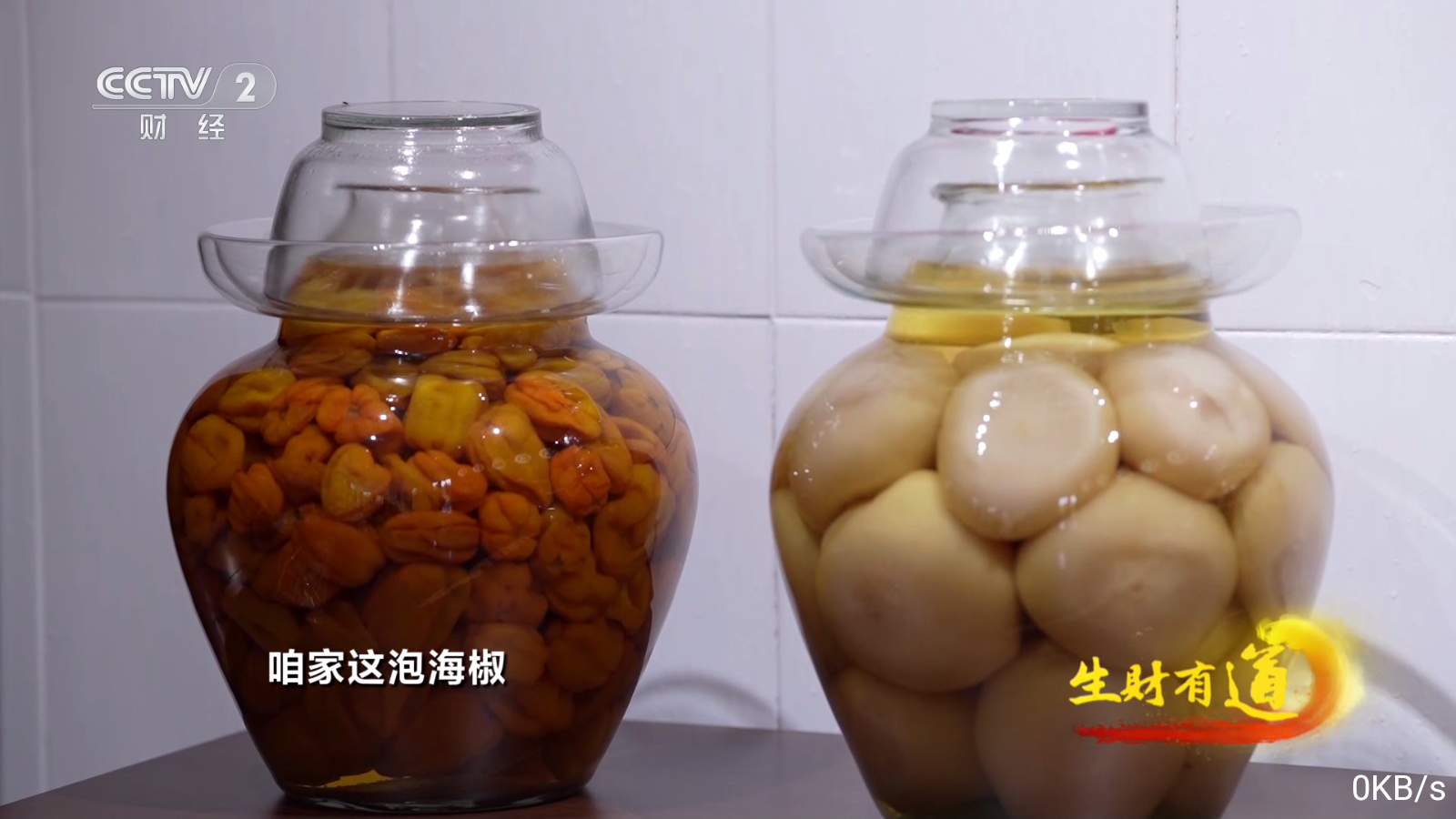 飞扬直播电视TV官网
