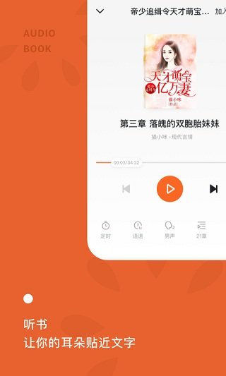 番茄小说VIP无广告