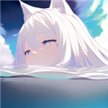 NyaFun动漫去广告纯净版