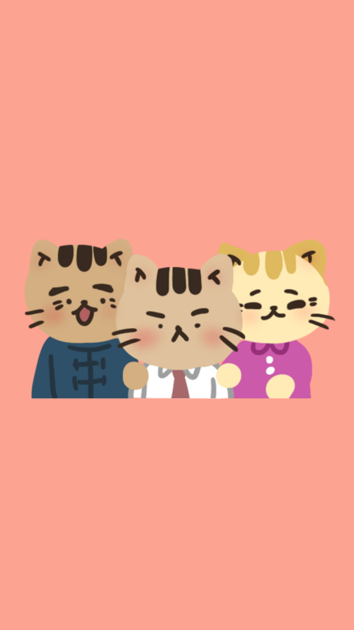 离家的猫正版