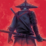 忍者岚2暗影归来无限金币版