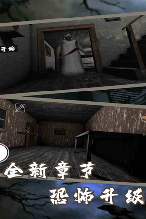 恐怖老奶奶7无敌版