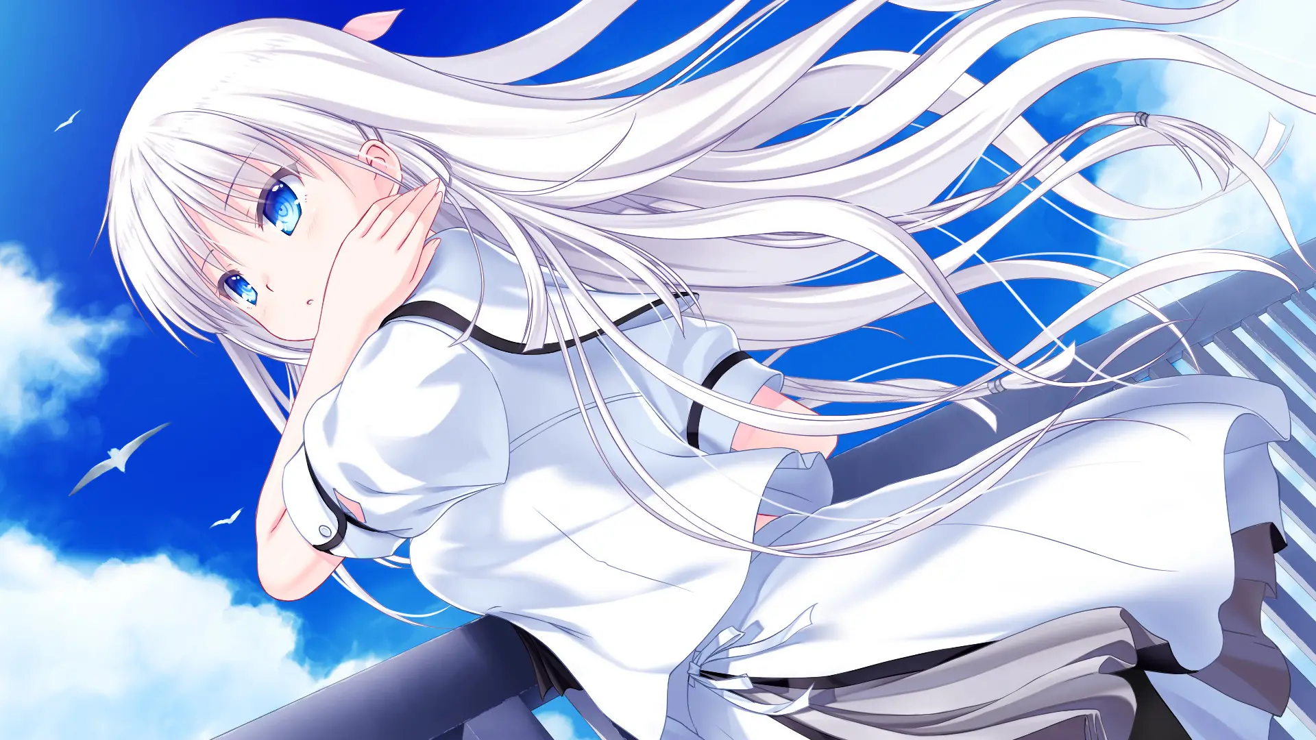 夏日口袋汉化手机版
