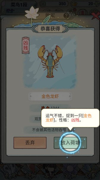 荷塘争霸