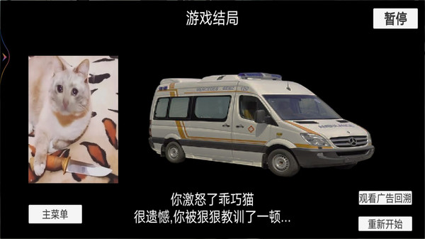猫猫惊魂夜正版
