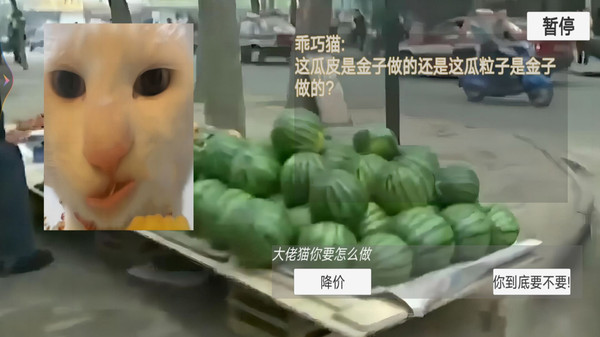 猫猫惊魂夜正版