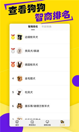 狗语翻译器免费版app
