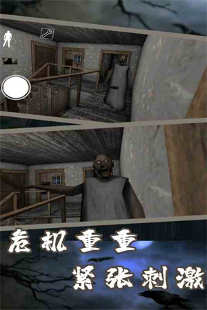 恐怖老奶奶7无敌版