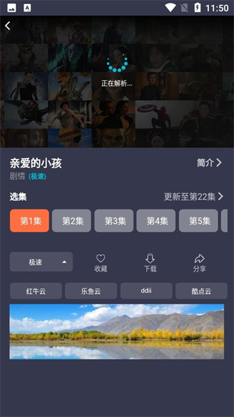鲨鱼影视app官网