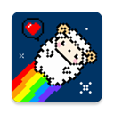 星咩视频壁纸app最新版本
