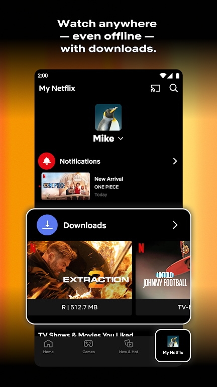 Netflix官网版app