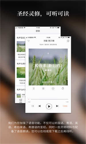 微读圣经新旧全书