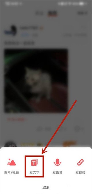 Nico交友