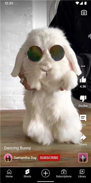 YouTube官网版app