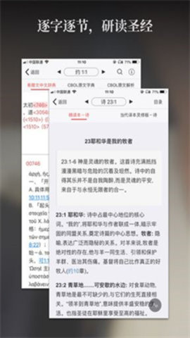 微读圣经2025年最新版本