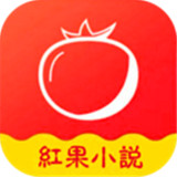 红果小说