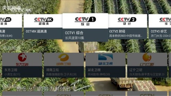 我的电视App电视版