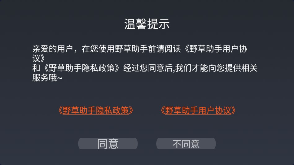 野草助手tv版软件下载最新版本