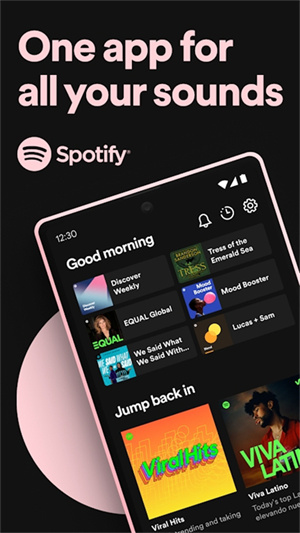 Spotify官网版