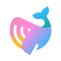 赫兹交友app