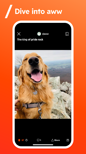 reddit app