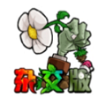 植物大战僵尸杂交版无限阳光