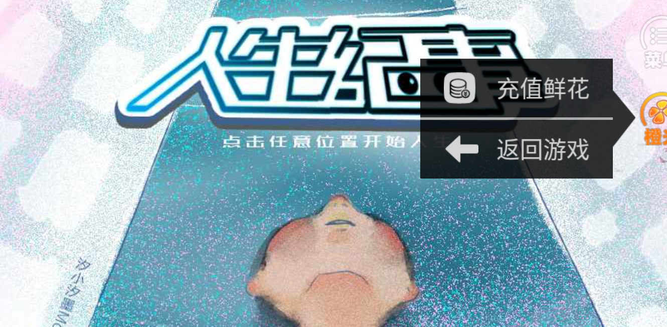 人生纪事
