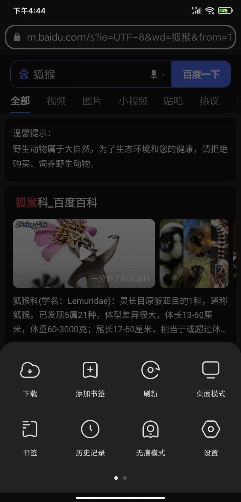狐猴浏览器2024最新版