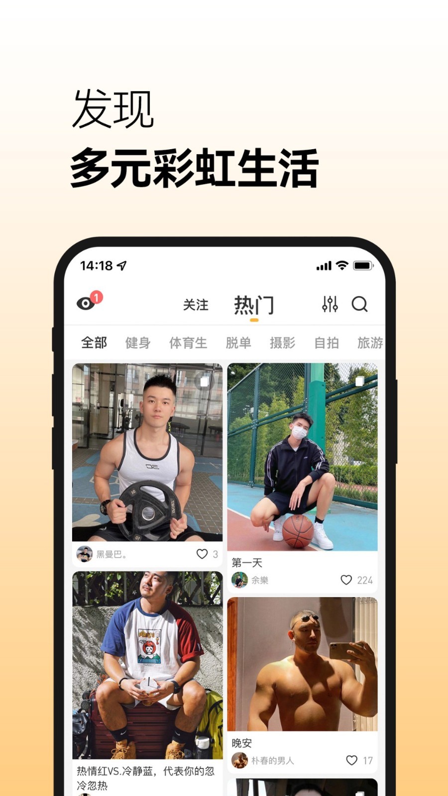 corgi可基