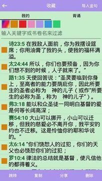 精读圣经有声播放版
