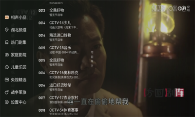 飞沙电视tv最新版