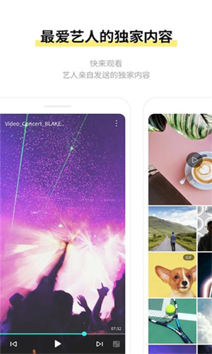 Lysn最新版本官方版下载2025