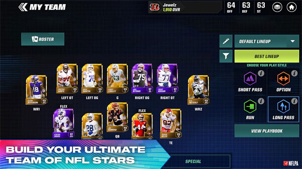 麦登橄榄球25