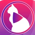 小猫直播app免费版4.03.00