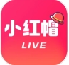 小红帽直播最新
