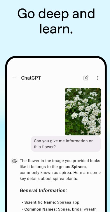 chatgpt app