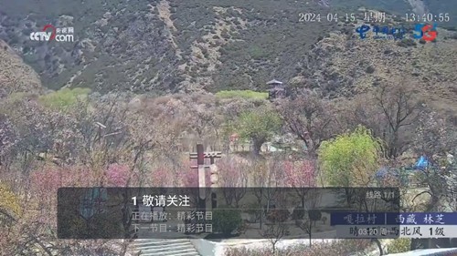 春盈天下手机最新版